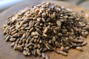 milk-thistle-seeds