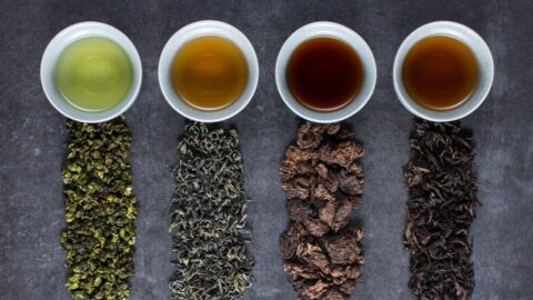 Various-Type-of-Tea-Including-Green-Black-and-Olong-480×270