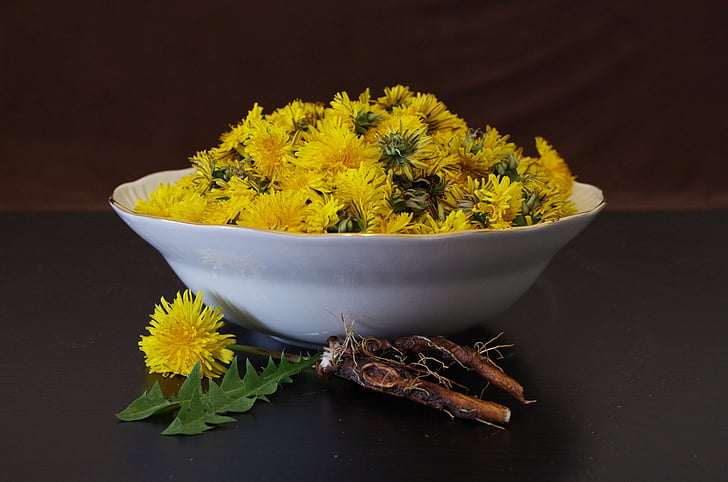 dandelion-health-salad-flowers-preview (1)